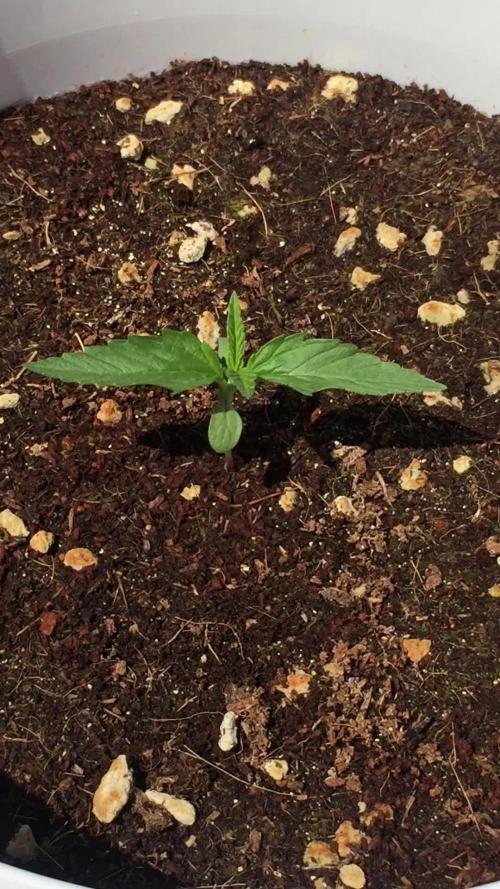 Outdoor 6/17/26