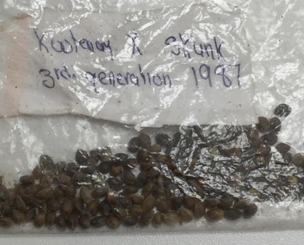 KOOTENAY SKUNK 1987. Week 0
