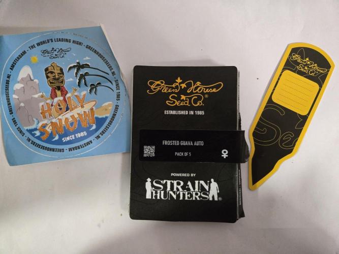 Yuki aka Frosted Guava. Week 0