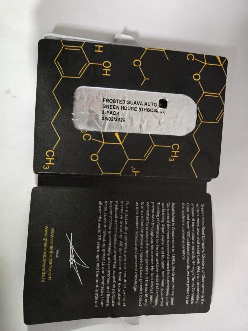 Yuki aka Frosted Guava. Week 0