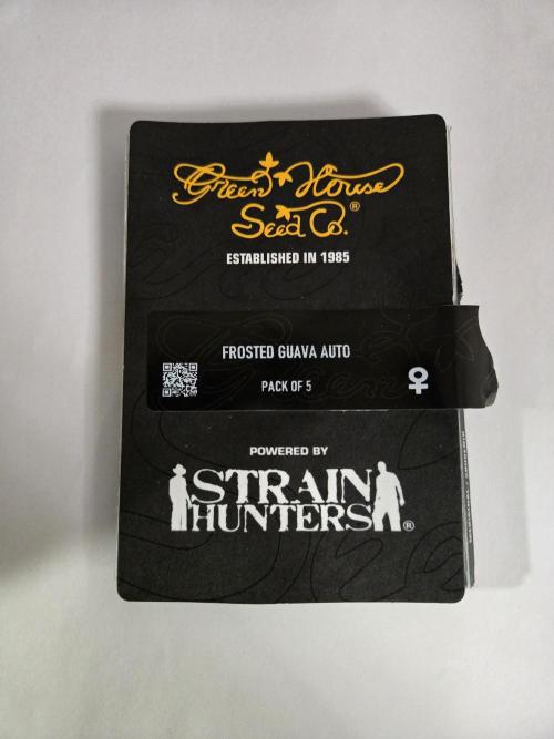 Yuki aka Frosted Guava. Week 0