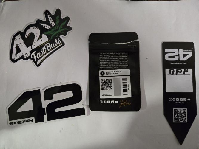 Violetta aka Banana Purple Punch. Week 0