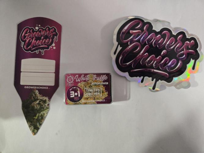 Bianca aka White Truffle. Week 0