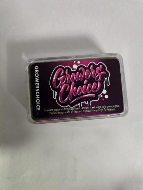 Bianca aka White Truffle. Week 0