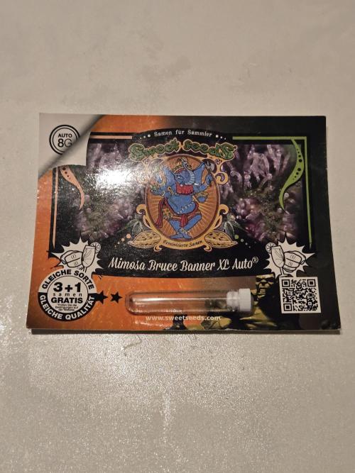 Mira aka Mimosa Bruce Banner Xl Auto. Week 0