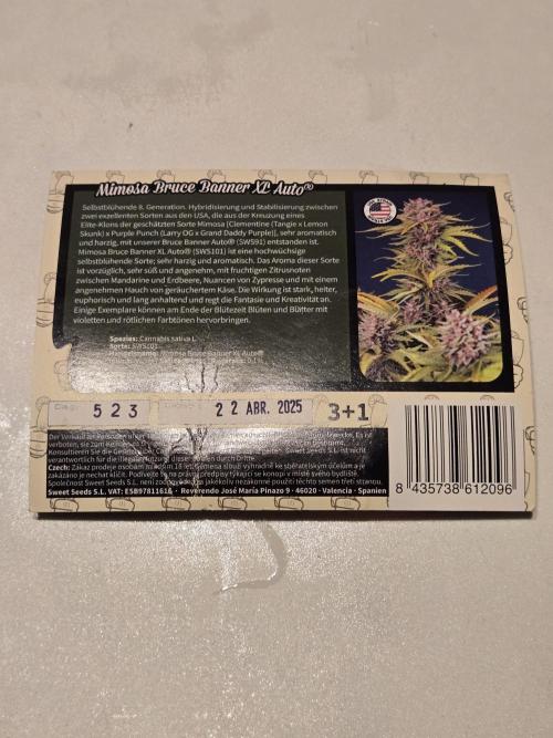 Mira aka Mimosa Bruce Banner Xl Auto. Week 0