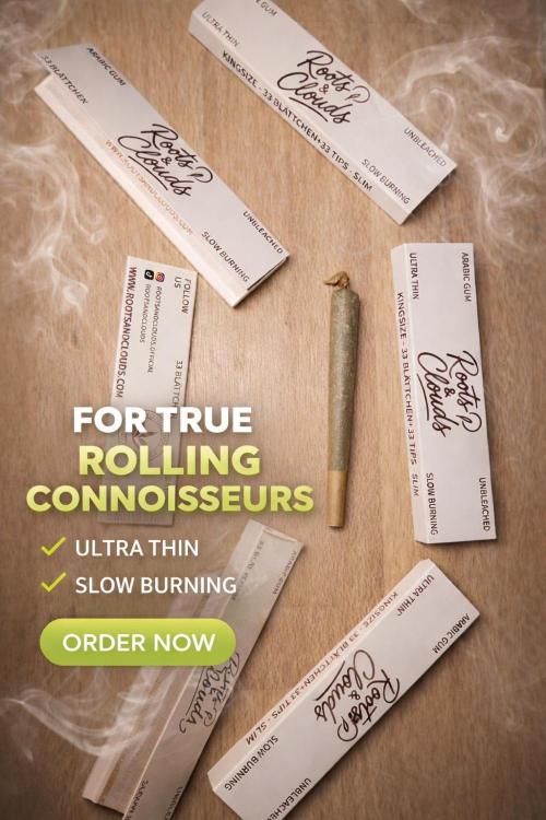 🐺Animal Mints 🚀Community Grow🚀. Week 12 - Write them on Instagram