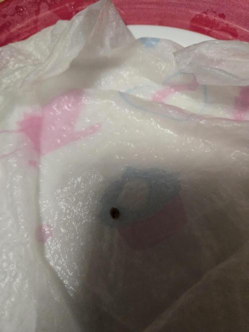 Saraphina aka Cherry Cola RF3. Week 0