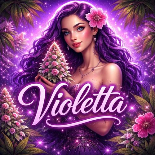 Violetta aka Banana Purple Punch. Week 0