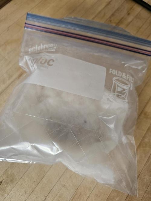 Tangerine Dream Auto. Week 0 - Into the paper towel/bag method for another 24 hours