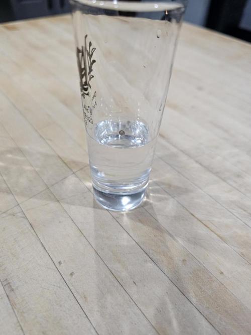 Tangerine Dream Auto. Week 0 - Soaking seed for 24 hours