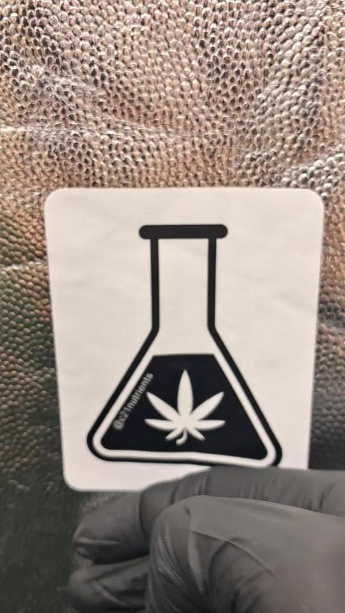 growing indoor with c21Nutients