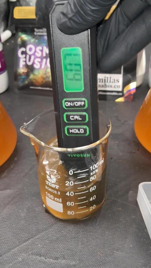 growing indoor with c21Nutients