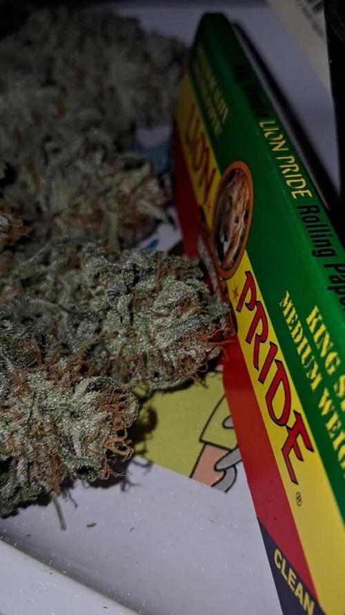 growing indoor with c21Nutients