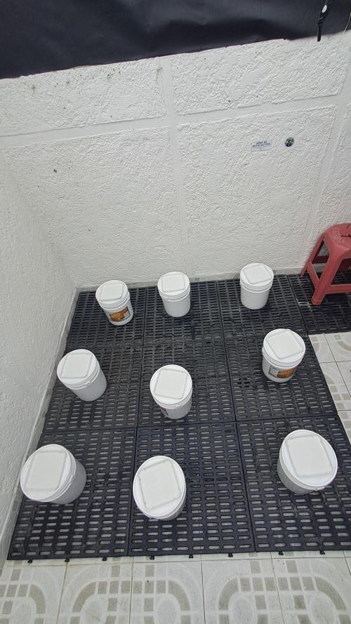 TPK x DRX F1. Week 2 - 1