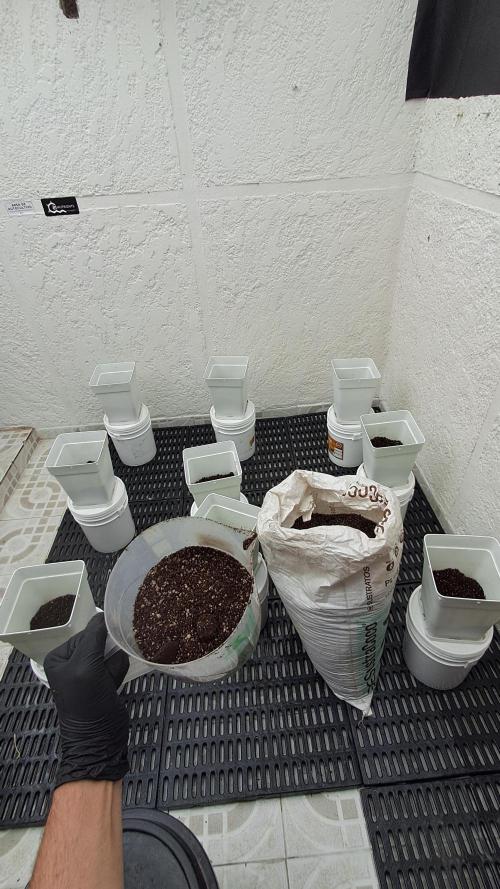 TPK x DRX F1. Week 2 - 2