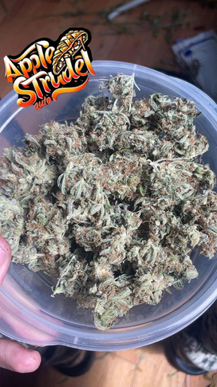 Qp trees?. Week 9 - …