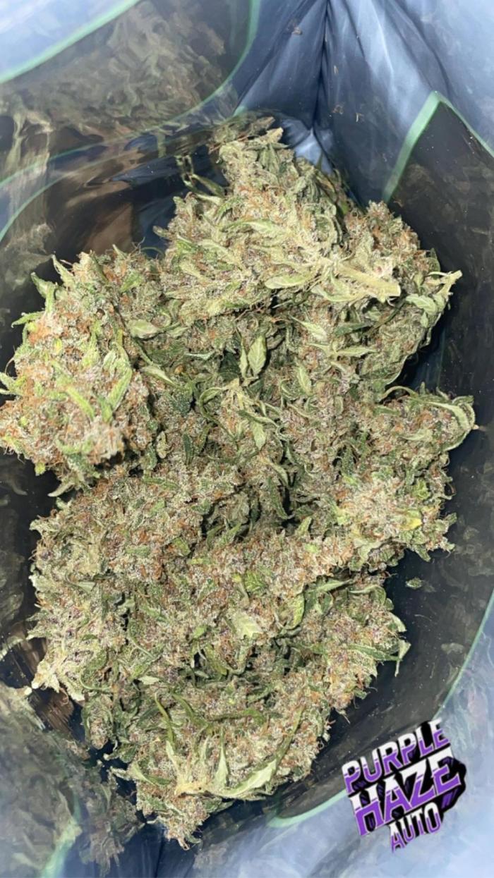 Qp trees?. Week 9 - …