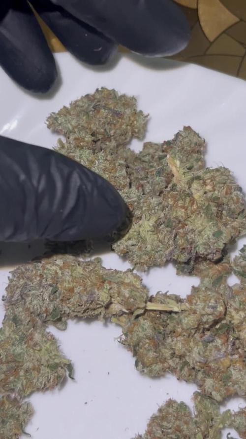 Apple burger seed to harvest