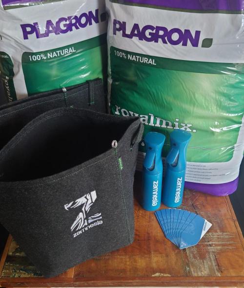 Zamnesia Mixed Grow Project. Week 3 - Umtopfen angesagt!