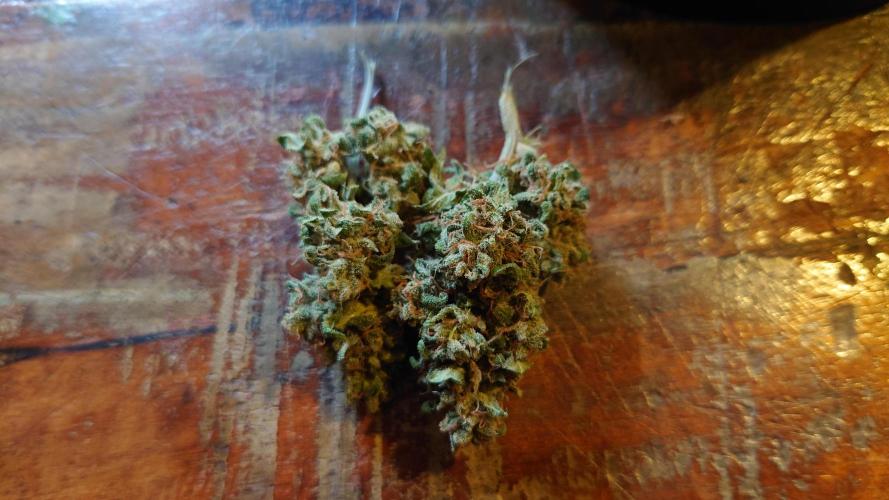 Summer Outdoor / Lavender Auto. Week 14