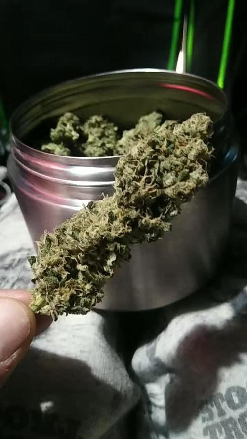 Somango + Critical