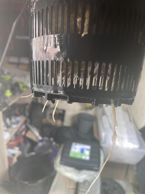 Something very NEW from TH is here^^. Week 2