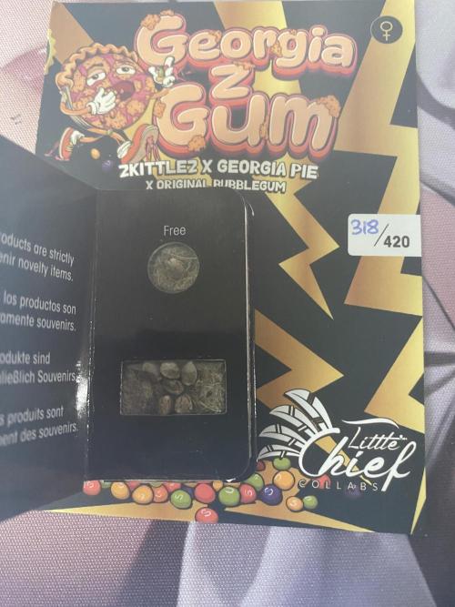 Georgia Z Gum. Week 0