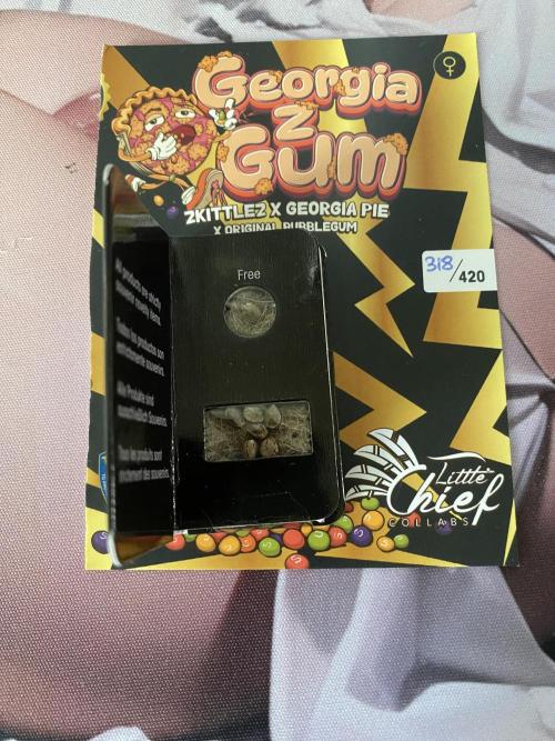 Georgia Z Gum. Week 0