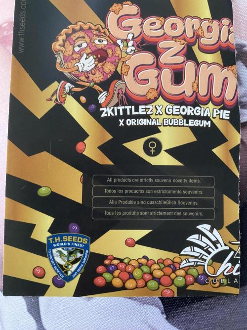 Georgia Z Gum. Week 0