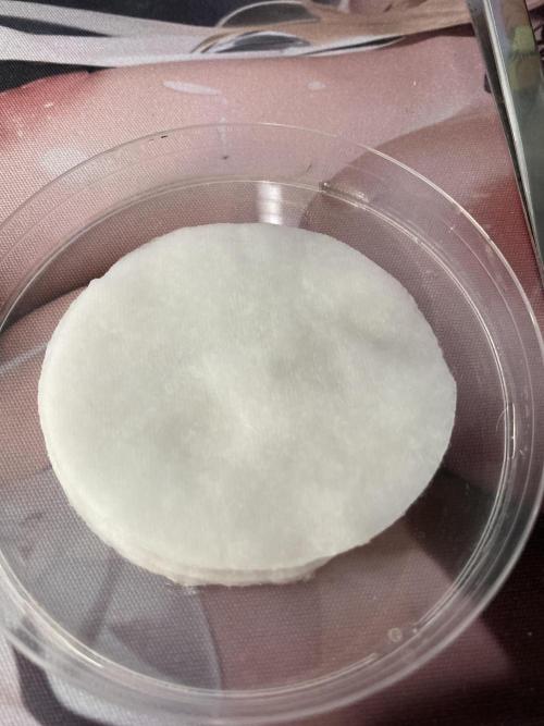 Georgia Z Gum. Week 0