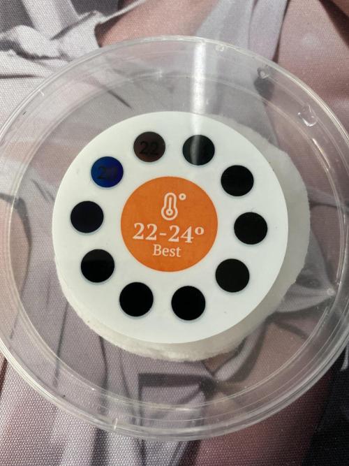 Georgia Z Gum. Week 0