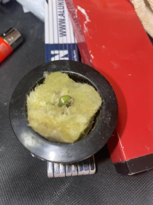 Sticky Broccoli but faster ;-=). Week 0