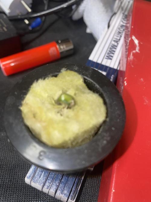 Sticky Broccoli but faster ;-=). Week 0