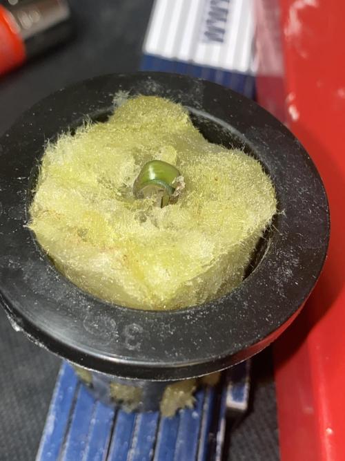 Sticky Broccoli but faster ;-=). Week 0