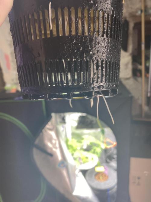 The Father of God???. Week 1