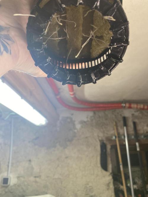 The Father of God???. Week 1