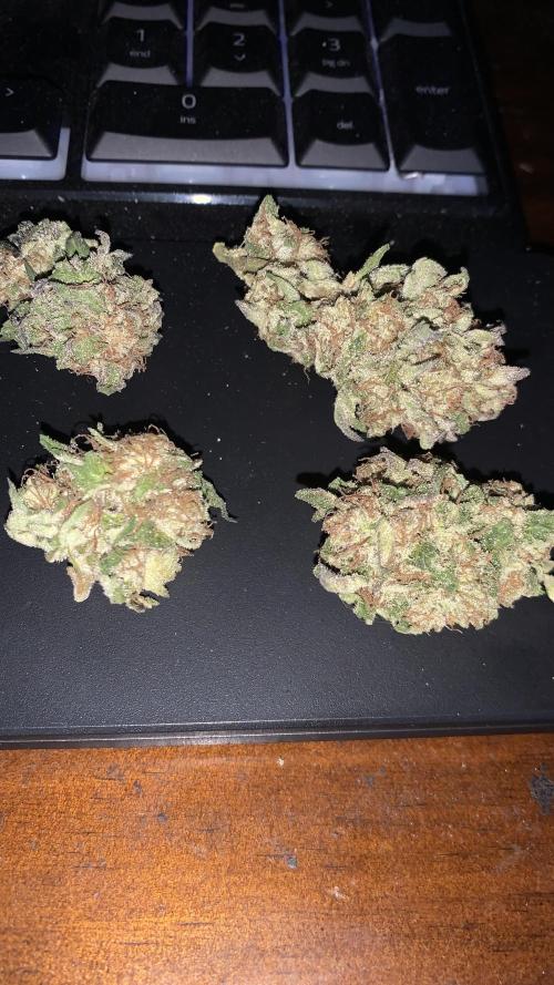 Outdoor Psyop R1 Grape Diamond R2. Week 15