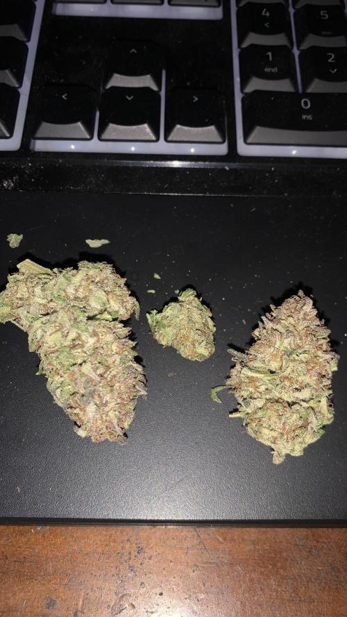 Outdoor Psyop R1 Grape Diamond R2. Week 15