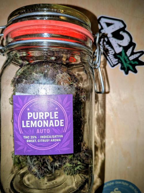 Feel Rainbow, Taste the Rainbow Growmie. Week 12