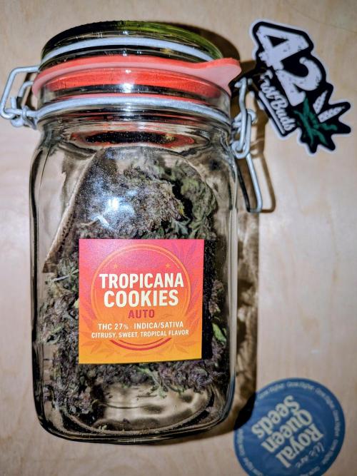 Feel Rainbow, Taste the Rainbow Growmie. Week 12