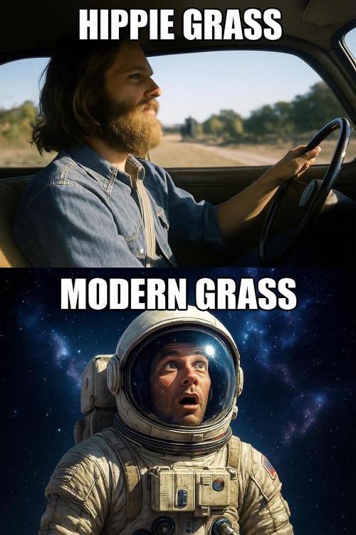 North Thunderfuck Auto First Time Growmie. Week 0