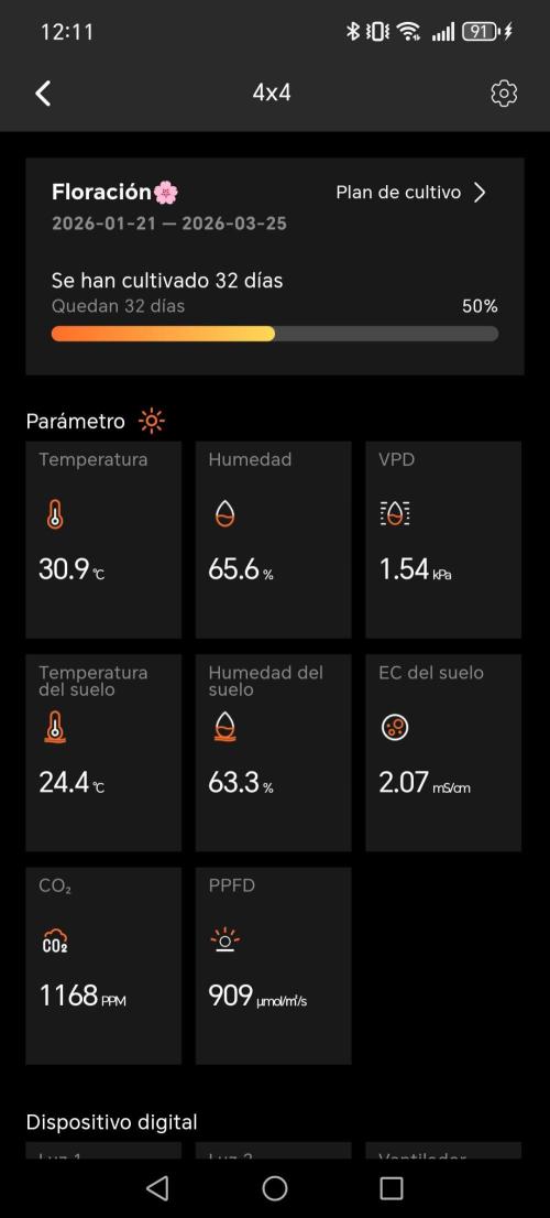 Clon White Russian. Week 6