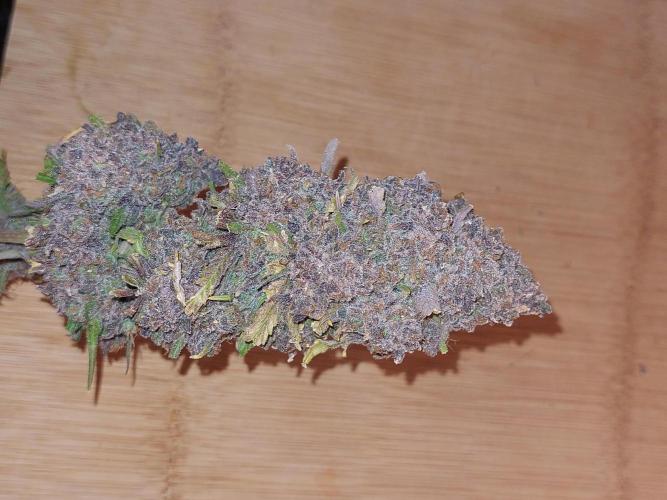 Kannabias run. Week 17