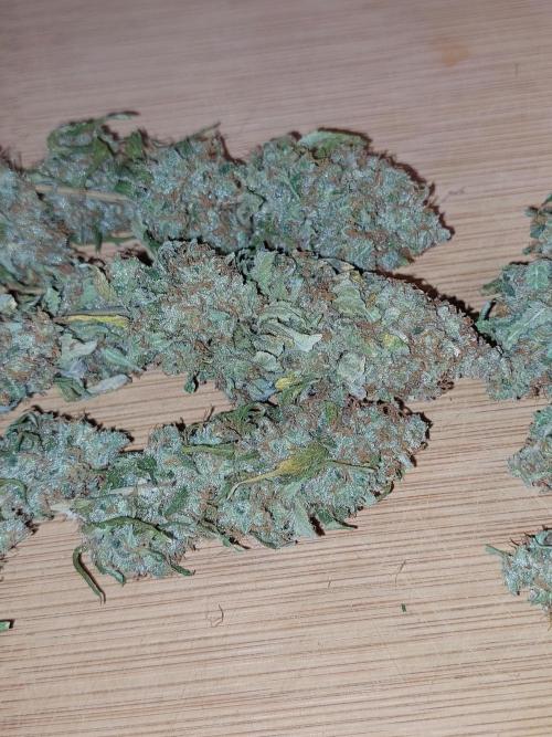 Kannabias run. Week 17