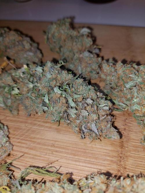 Kannabias run. Week 17