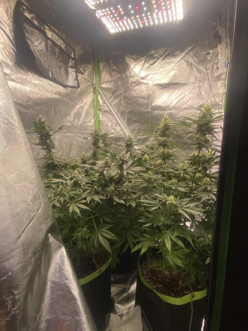 M&Ofirststeps. Week 12 - M&O#2