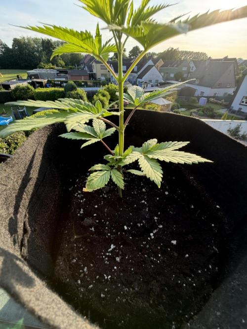 Outdoor Saison 2026 #SS&M&O. Week 2