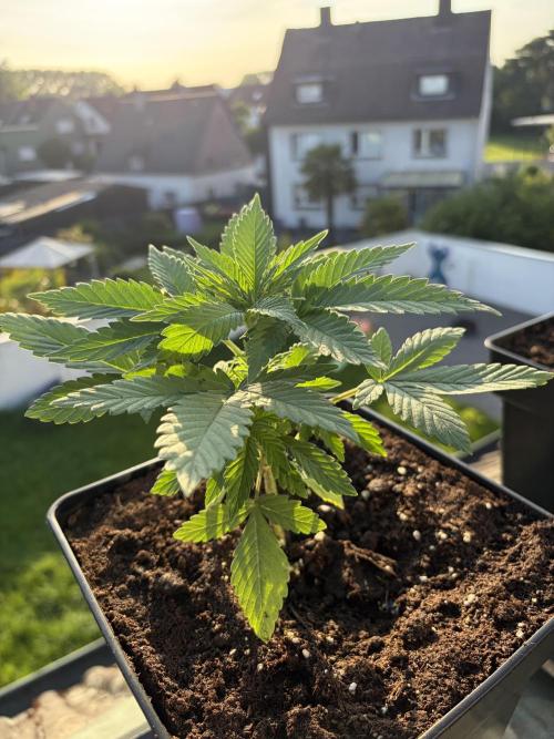 Outdoor Saison 2026 #SS&M&O. Week 2