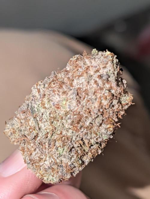 Knickerbocker Glory. Week 12